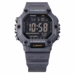 ساعت مچی مردانه کاسیو CASIO AE-1600H-8BVDF