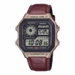 ساعت مچی مردانه کاسیو CASIO AE-1200WHL-5AVDF